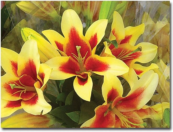 Trademark Global Amy Vangsgard "Lillies" Canvas Art, 18" x 24"
