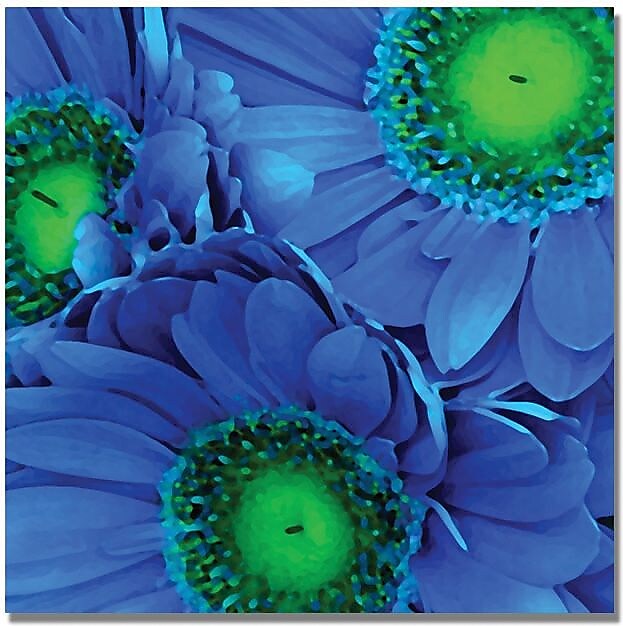 Trademark Global Amy Vangsgard "Blue Gerber Daisies" Canvas Art, 18" x 18"