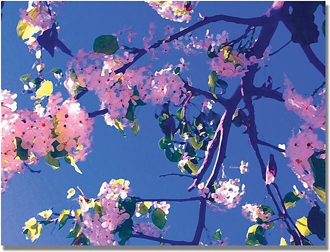 Trademark Global Amy Vangsgard "Pink Flowering" Canvas Art, 18" x 24"