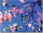 Trademark Global Amy Vangsgard "Pink Flowering" Canvas Art, 35" x 47"