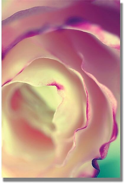 Trademark Global Beata Czyzowska Young "Flavors of Summer" Canvas Art, 24" x 16"
