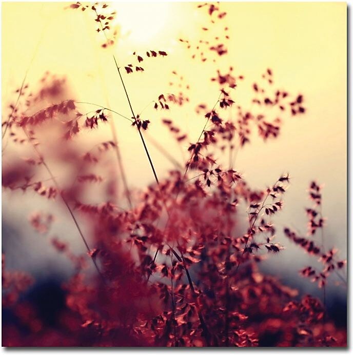 Trademark Global Beata Czyzowska Young "Memories of You" Canvas Art, Urban Landscape, 24" x 24"