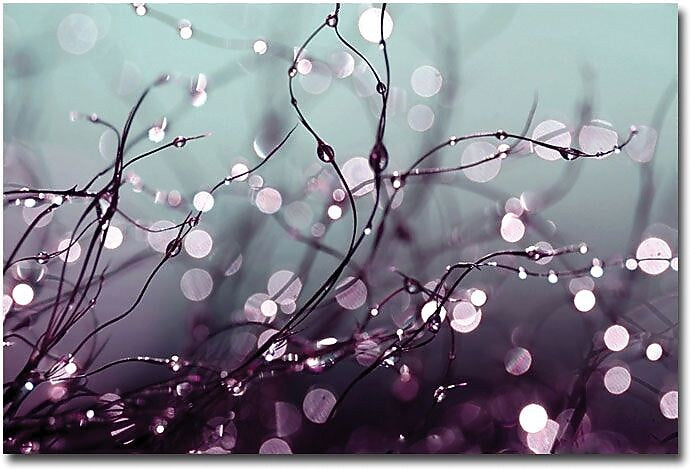 Trademark Global Beata Czyzowska Young "Somewhere Over the Rainbow" Canvas Art, Landscape, 30" x 47" (BC0017-C3047GG)