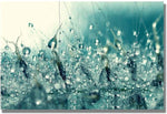 Trademark Global Beata Czyzowska Young "Under the Sea" Canvas Art, 30" x 47"