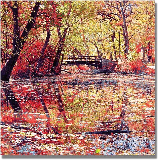 Trademark Global Beata Czyzowska Young "Monet's Garden" Canvas Art, 24" x 24"