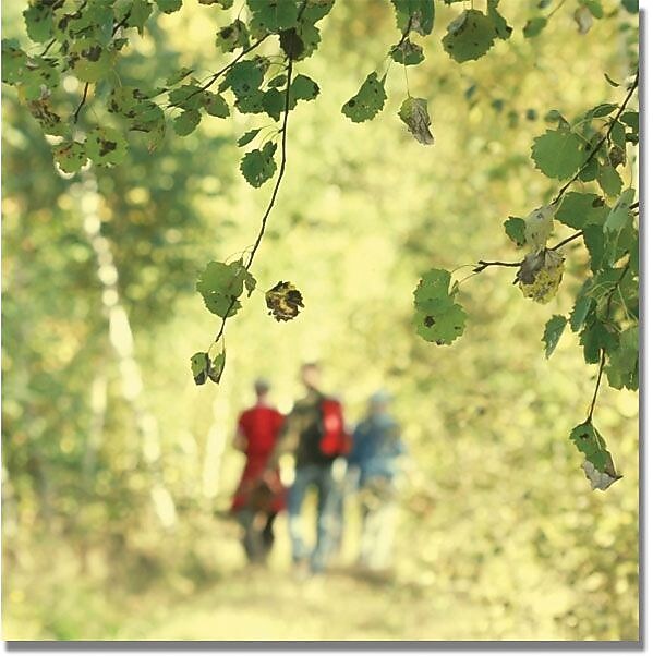 Trademark Global Beata Czyzowska Young "A Walk to Remember" Canvas Art, 35" x 35"