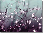 Trademark Global Beata Czyzowska Young "Somewhere Over the Rainbow" Canvas Art, Nature, 30" x 47" (BC0044-C3047GG)