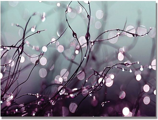 Trademark Global Beata Czyzowska Young "Somewhere Over the Rainbow" Canvas Art, Nature, 30" x 47" (BC0044-C3047GG)