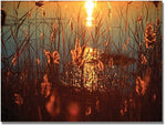 Trademark Global Beata Czyzowska Young "Summer Nights" Canvas Art, 18" x 24"