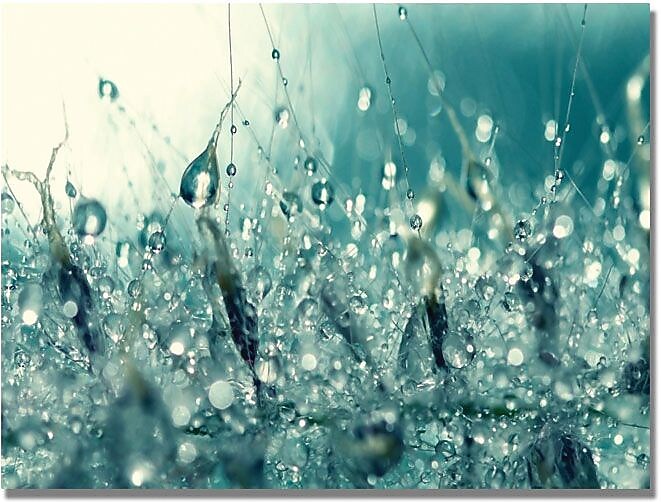 Trademark Global Beata Czyzowska "Under the Sea" Canvas Art, 30" x 47"
