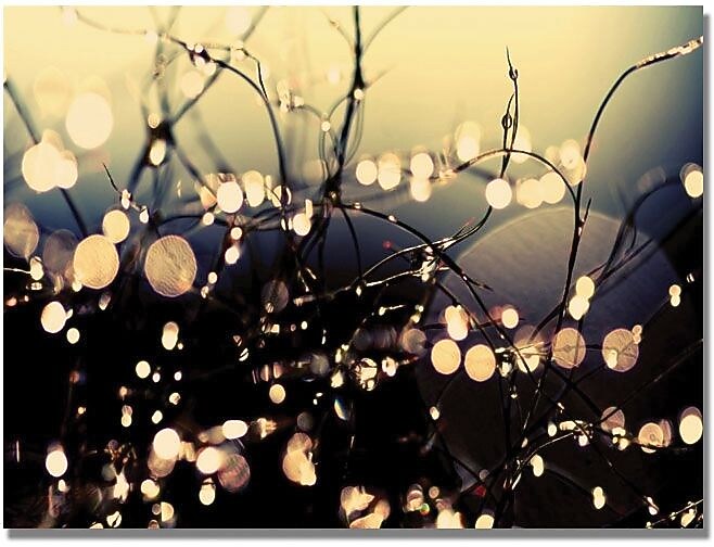 Trademark Global Beata Czyzowska Young "When Fairies Dance" Canvas Art, 18" x 24"