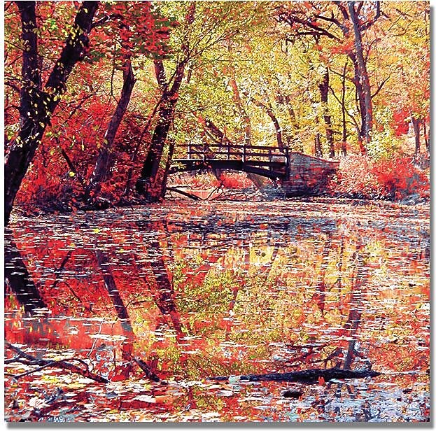 Trademark Global Beata Czyzowska Young "Monets Garden" Canvas Art, 18" x 18"