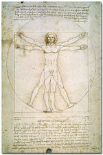 Trademark Global Leonardo da Vinci "The Proportions of the Human Figure" Canvas Art, 24" x 16"