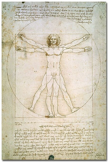 Trademark Global Leonardo da Vinci "The Proportions of the Human Figure" Canvas Art, 24" x 16"
