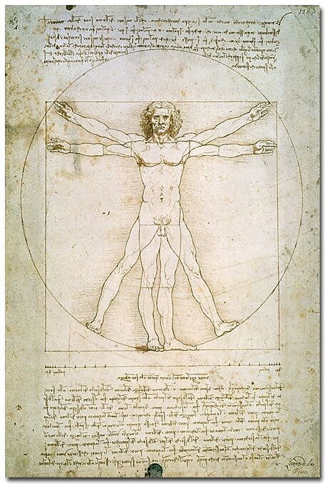 Trademark Global Leonardo da Vinci "The Proportions of the Human Figure" Canvas Art, 47" x 30"