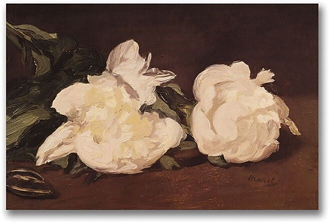 Trademark Global Eduard Manet "Branch of White Peonies" Canvas Art, 16" x 24"