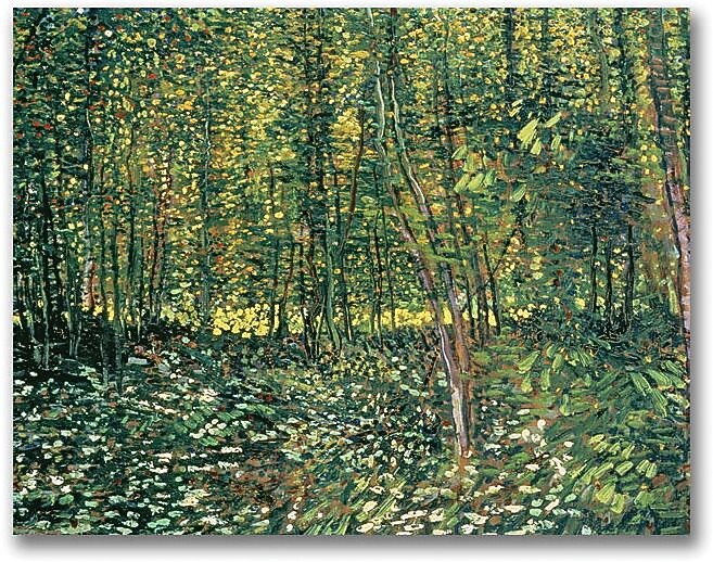 Trademark Global Vincent Van Gogh "Trees and Undergrowth, 1887" Canvas Art, 26" x 32"
