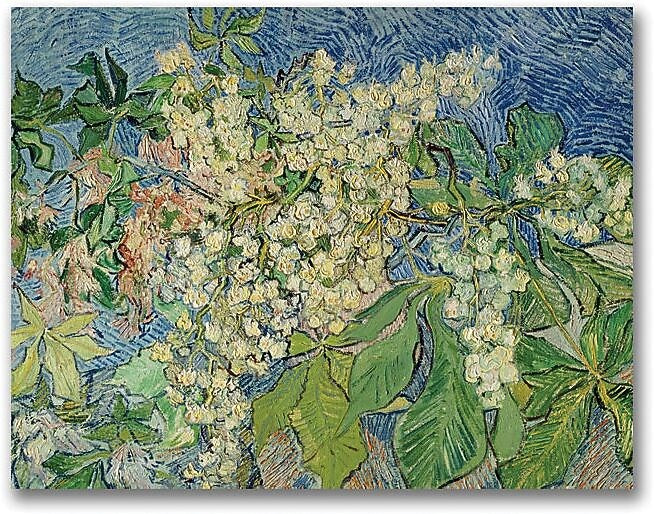 Trademark Global Vincent Van Gogh "Blossoming Chesnut Branches" Canvas Art, 35" x 47"