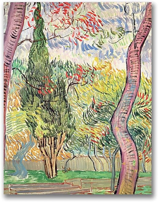 Trademark Global Vincent Van Gogh "The Garden of St. Pauls Hospital" Canvas Art, 47" x 35"