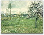 Trademark Global Camille Pissarro "Meadow at Eragny, 1885" Canvas Art, 26" x 32"