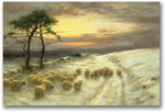 Trademark Global Joseph Farquharson "Sheep in the Snow" Canvas Art, 30" x 47"