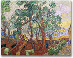 Trademark Global Vincent Van Gogh "The Garden of St. Paul" Canvas Art, 18" x 24"