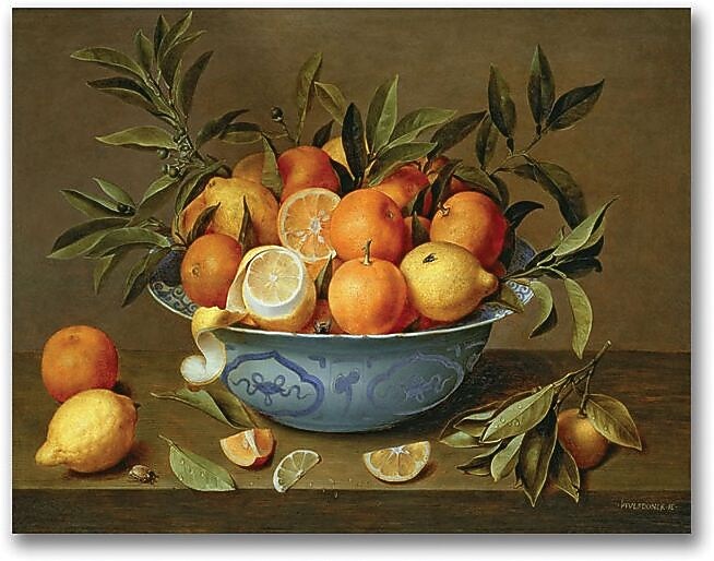 Trademark Global Jacob Van Hulsdonck "Still Life with Oranges" Canvas Art, 35" x 47"