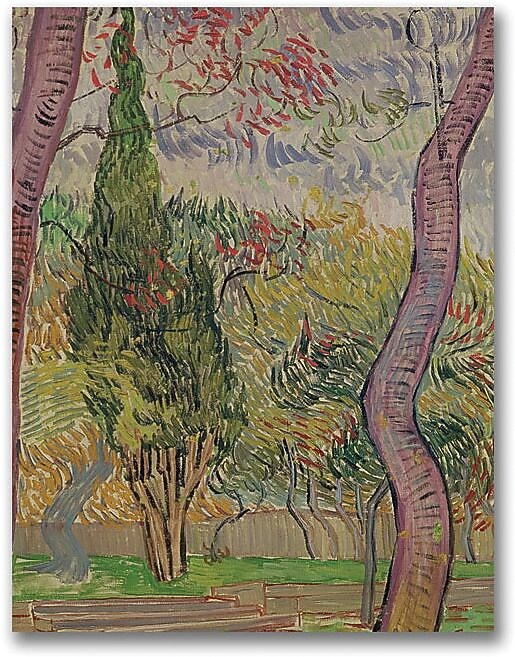 Trademark Global Vincent Van Gogh "The Park at Saint-Paul" Canvas Art, 47" x 35"