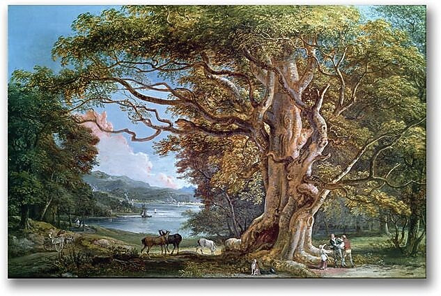 Trademark Global Paul Sandby "An Ancient Beech Tree, 1794" Canvas Art, 30" x 47"