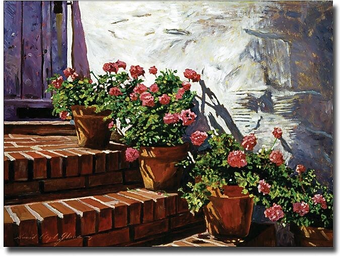 Trademark Global David Glover "Geranium Steps" Canvas Art, 24" x 32"