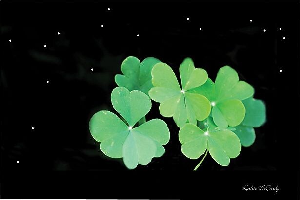 Trademark Global Kathie McCurdy "Starry Night Clover" Canvas Art, 30" x 47"
