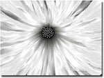 Trademark Global Kathie McCurdy "White Garden" Canvas Art, 24" x 32"