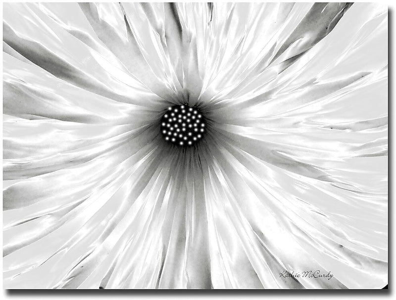 Trademark Global Kathie McCurdy "White Garden" Canvas Art, 35" x 47"