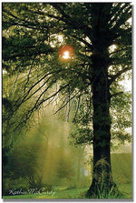 Trademark Global Kathie McCurdy "Magical Tree" Canvas Art, 47" x 30"