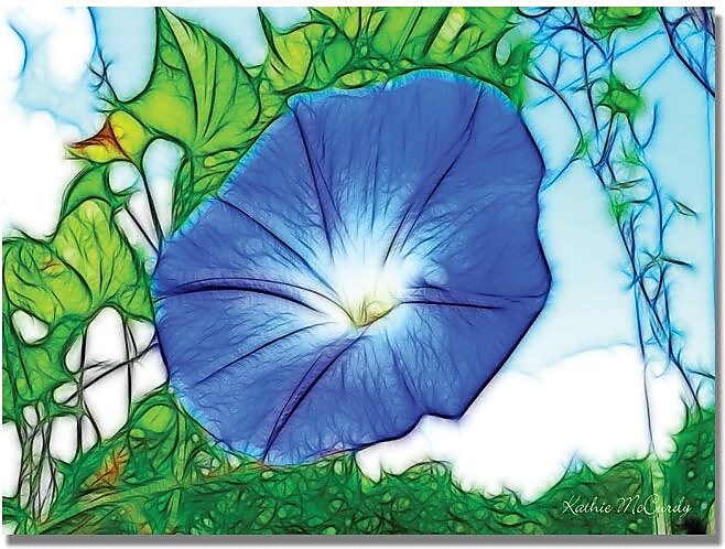 Trademark Global Kathie McCurdy "Heavenly Blue Morning Glory" Canvas Art, 18" x 24"