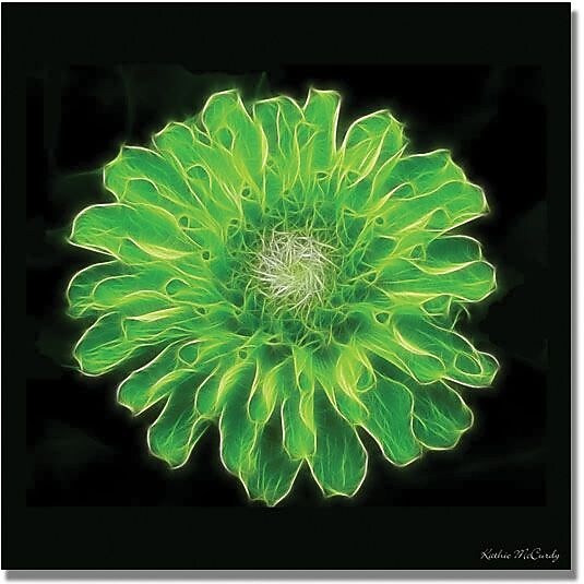 Trademark Global Kathie McCurdy "Green Zinnia" Canvas Art, 18" x 18"