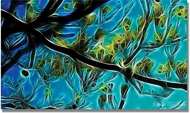 Trademark Global Kathie McCurdy "Tree Branches" Canvas Art, 24" x 47"