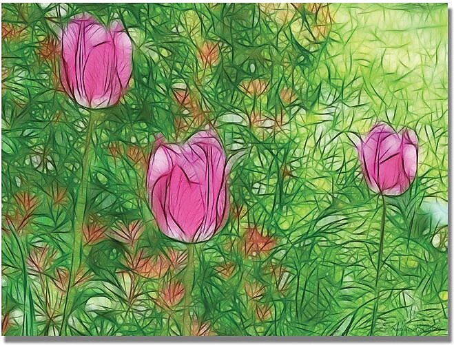Trademark Global Kathie McCurdy "Tulips" Canvas Art, 18" x 24"