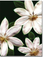 Trademark Global Kathie McCurdy "White Clematis" Canvas Art, 47" x 35"
