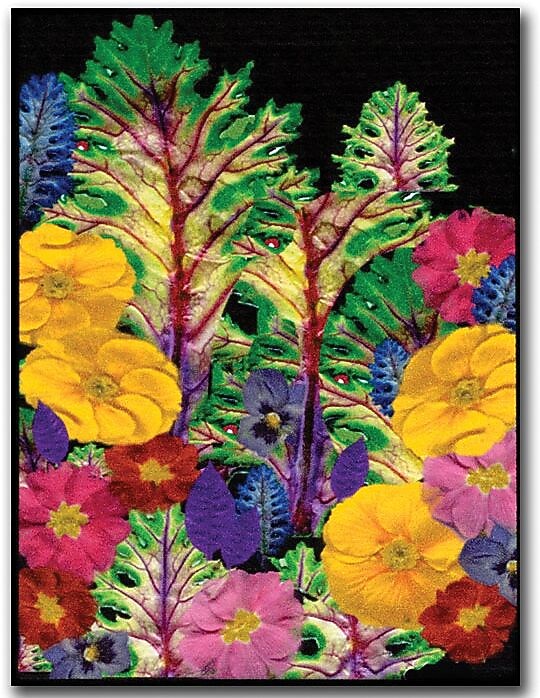 Trademark Global Kathie McCurdy "Story Book Forest" Canvas Art, 19" x 14"