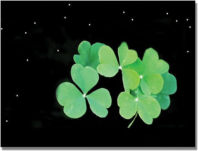 Trademark Global Kathie McCurdy "Clover" Canvas Art, 30" x 47"