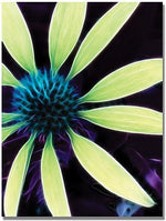Trademark Global Kathie McCurdy "Lime Green Coneflower" Canvas Art, 18" x 24"