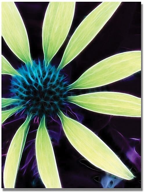 Trademark Global Kathie McCurdy "Lime Green Coneflower" Canvas Art, 18" x 24"