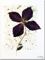 Trademark Global Kathie McCurdy "Aubergine" Canvas Art, 24" x 18"