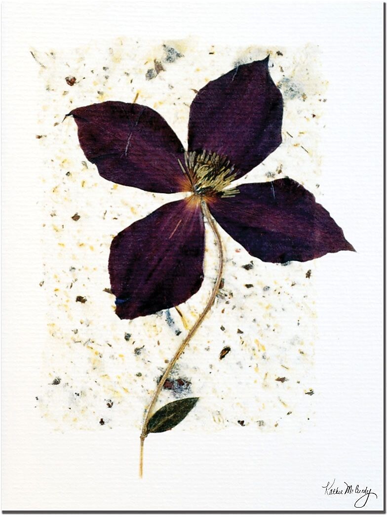 Trademark Global Kathie McCurdy "Aubergine" Canvas Art, 24" x 18"