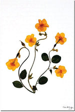 Trademark Global Kathie McCurdy "Dancing Daffodils" Canvas Art, 24" x 16"