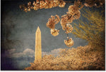 Trademark Global Lois Bryan "The Washington Monument" Canvas Art, 16" x 24"