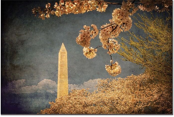Trademark Global Lois Bryan "The Washington Monument" Canvas Art, 16" x 24"