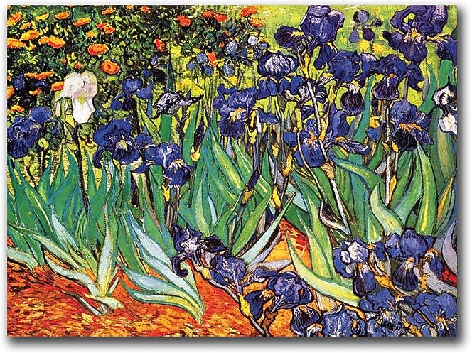 Trademark Global Vincent Van Gogh "Irises Saint-Remy" Canvas Art, 18" x 24"