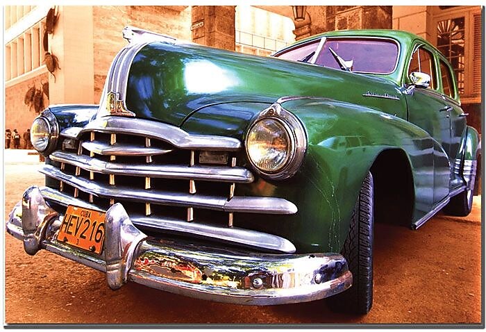 Trademark Global "Green Beauty" Canvas Art, 16" x 24"